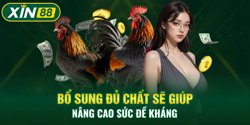 Bổ sung đủ chất sẽ giúp nâng cao sức đề kháng