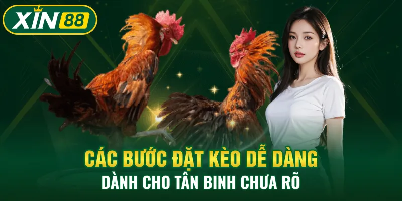 Các bước đặt kèo dễ dàng dành cho tân binh chưa rõ