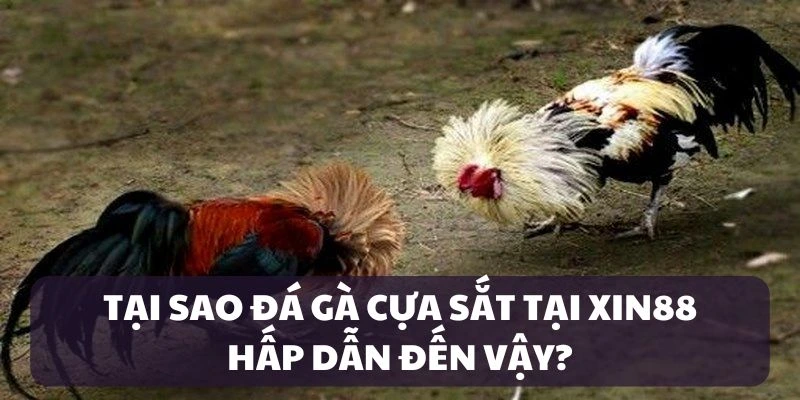 Điểm thú vị của sảnh