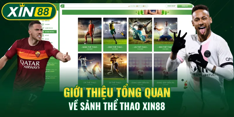 Giới thiệu tổng quan về sảnh thể thao XIN88