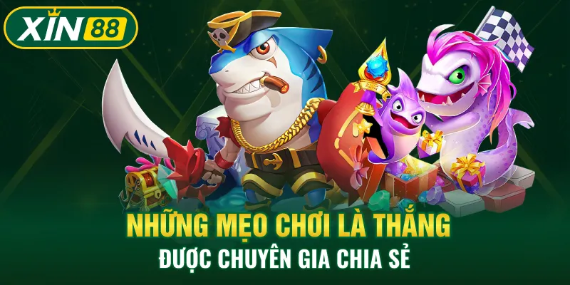 Những mẹo chơi là thắng được chuyên gia chia sẻ