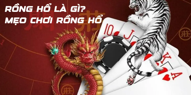 Rồng Hổ là gì? Mẹo chơi Rồng Hổ